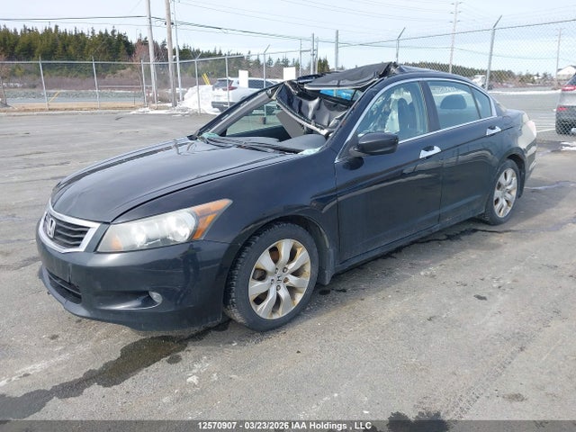 Продаж на аукціоні авто 2010 Honda Accord Ex-l V6, vin: 5KBCP3F83AB501038, номер лоту: 12570907