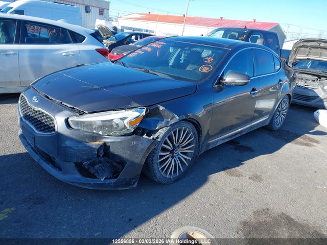 KNALN4D70E5120806 KIA Cadenza Premium
