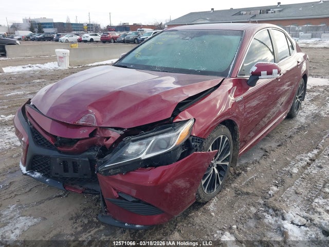 4T1B21HK5JU507299 Toyota Camry Hybrid/le/xle/se