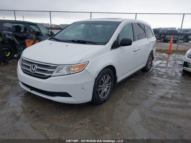 2011 Honda Odyssey Exl მანქანა იყიდება აუქციონზე, vin: 5FNRL5H68BB504921, აუქციონის ნომერი: 12571097