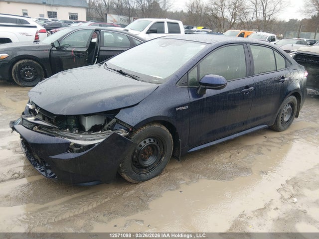 JTDBBRBE1LJ030056 Toyota Corolla Hybrid
