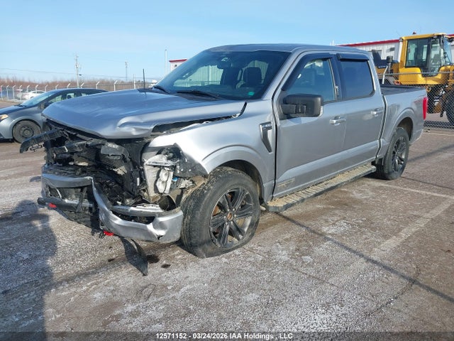 Продажа на аукционе авто 2022 Ford F-150 Xlt, vin: 1FTFW1ED9NFB24931, номер лота: 12571152