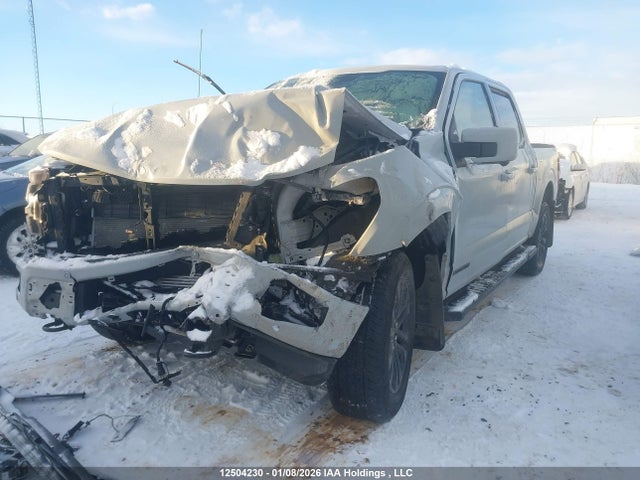 1FTFW5LD6RFB15488 Ford F150