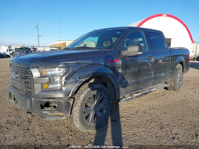12563781 :رقم المزاد ، 1FTEW1EPXHFC25602 vin ، 2017 Ford F-150 Xlt مزاد بيع