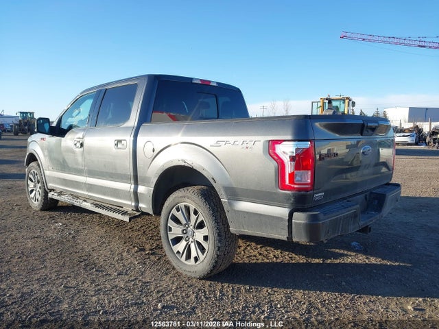 12563781 :رقم المزاد ، 1FTEW1EPXHFC25602 vin ، 2017 Ford F-150 Xlt مزاد بيع