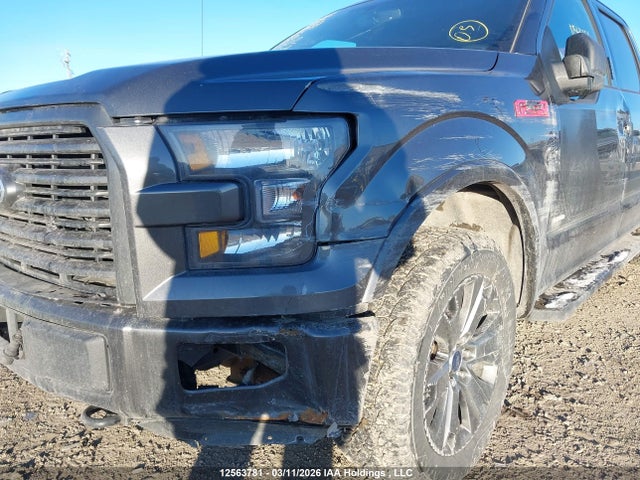 12563781 :رقم المزاد ، 1FTEW1EPXHFC25602 vin ، 2017 Ford F-150 Xlt مزاد بيع