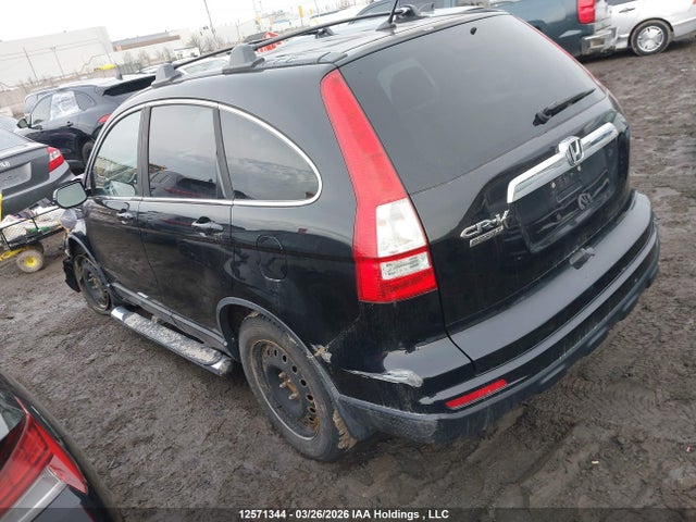 12571344 :رقم المزاد ، 5J6RE3H52AL801498 vin ، 2010 Honda Cr-v Ex مزاد بيع