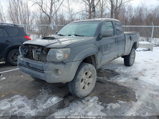12547934 :رقم المزاد ، 5TEUU42N17Z452457 vin ، 2007 Toyota Tacoma Base V6 مزاد بيع