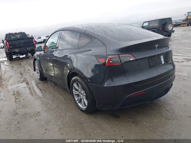Tesla Model Y 2024 7SAYGDEE9RF993025 Image 3