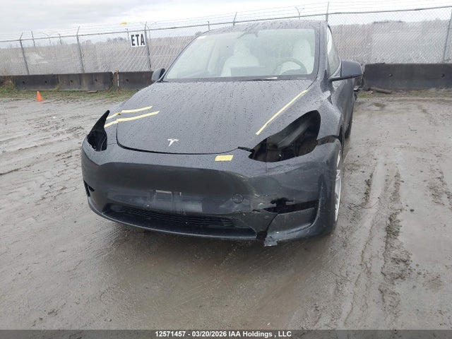 Tesla Model Y 2024 7SAYGDEE9RF993025 Image 6