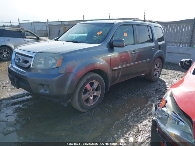 12571531 :رقم المزاد ، 5FNYF485X9B502988 vin ، 2009 Honda Pilot Ex-l مزاد بيع