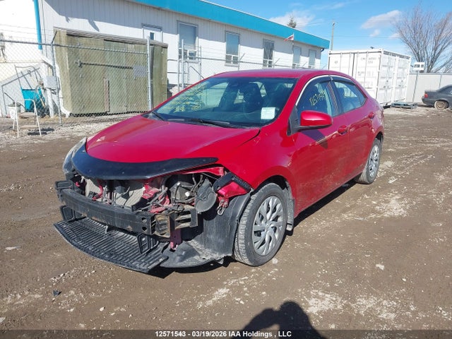 2T1BURHE8KC211991 Toyota Corolla L/le/xle/se/xse