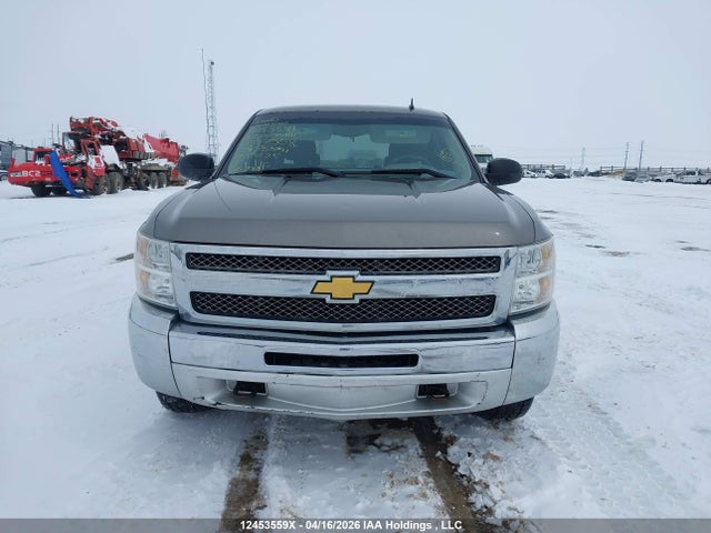 2013 Chevrolet Silverado K1500 Ls მანქანა იყიდება აუქციონზე, vin: 3GCPKREA1DG249276, აუქციონის ნომერი: 12453559