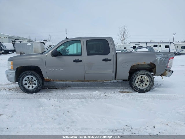 2013 Chevrolet Silverado K1500 Ls მანქანა იყიდება აუქციონზე, vin: 3GCPKREA1DG249276, აუქციონის ნომერი: 12453559