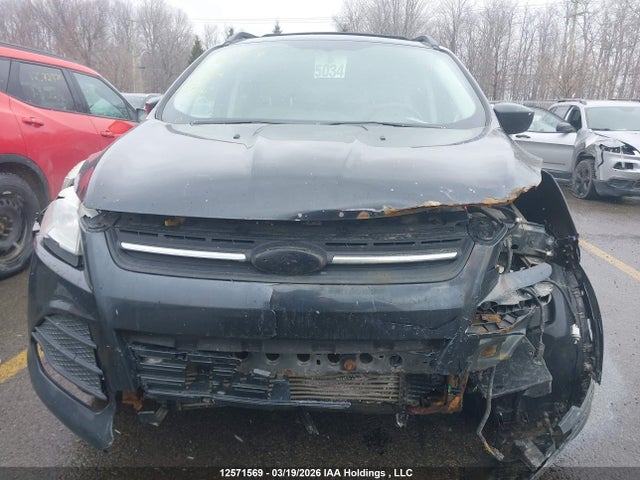 1FMCU9GX6EUA24873 Ford Escape