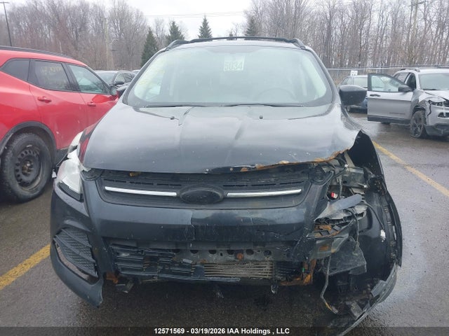 1FMCU9GX6EUA24873 Ford Escape