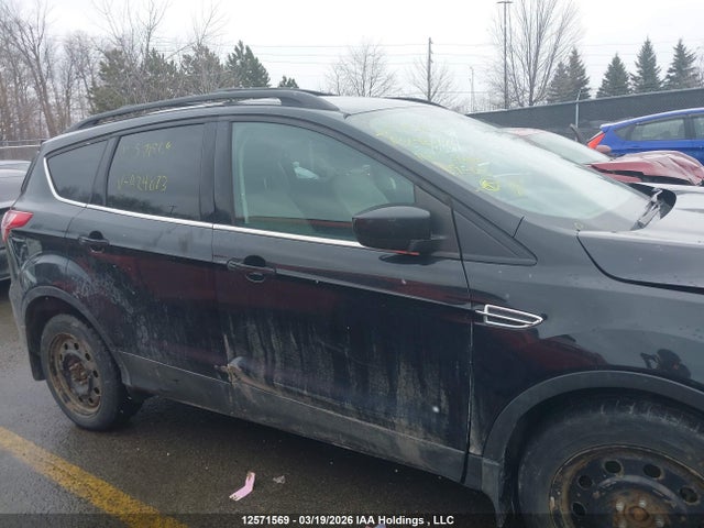 1FMCU9GX6EUA24873 Ford Escape