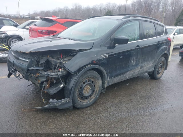 1FMCU9GX6EUA24873 Ford Escape