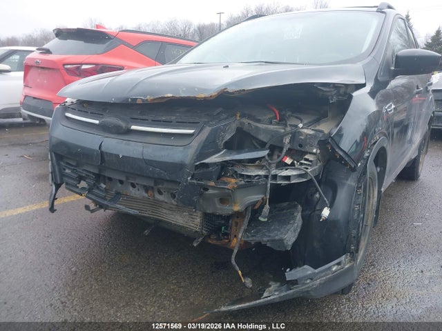 1FMCU9GX6EUA24873 Ford Escape