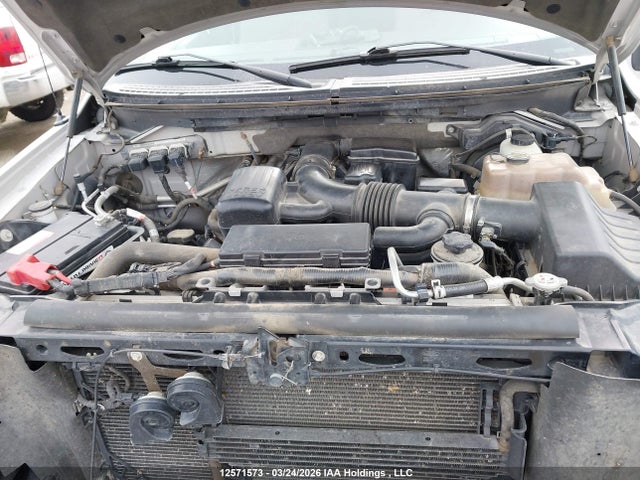 2010 Ford F-150 Fx4/harley-davidson/lariat/xlt მანქანა იყიდება აუქციონზე, vin: 1FTFW1EV8AFC00822, აუქციონის ნომერი: 12571573