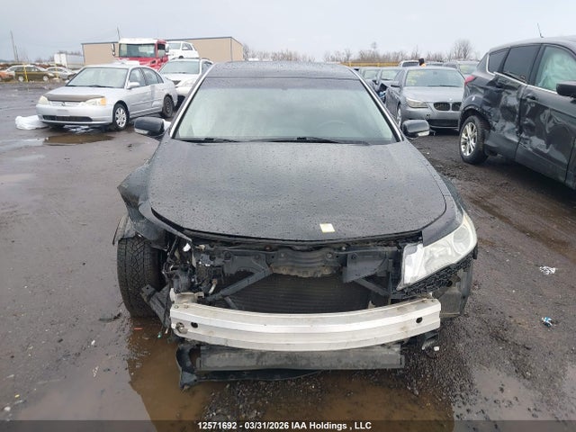 12571692 :رقم المزاد ، 19UUA9E50AA800706 vin ، 2010 Acura Tl مزاد بيع