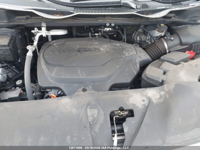 Продаж на аукціоні авто 2024 Honda Odyssey Touring, vin: 5FNRL6H84RB500043, номер лоту: 12571696