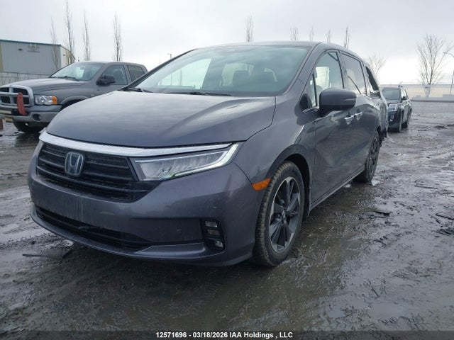 Продаж на аукціоні авто 2024 Honda Odyssey Touring, vin: 5FNRL6H84RB500043, номер лоту: 12571696