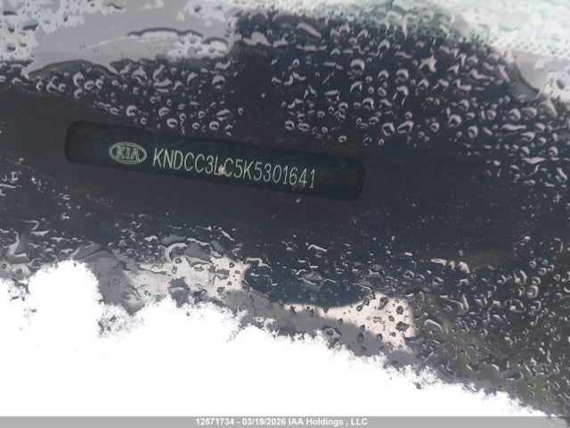 12571734 :رقم المزاد ، KNDCC3LC5K5301641 vin ، 2019 Kia Niro Ex/touring S مزاد بيع