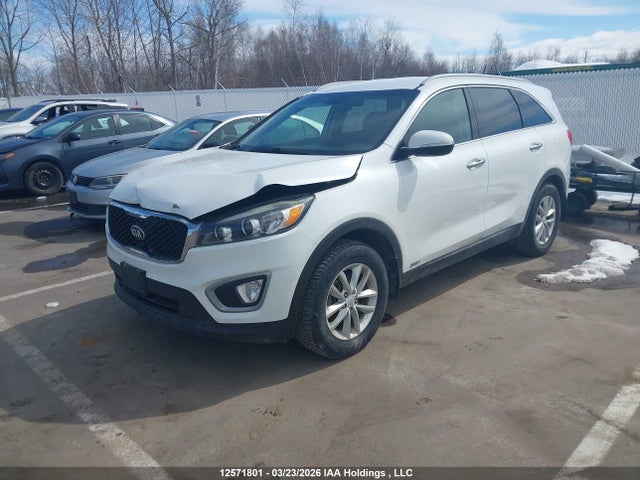 5XYPGDA36HG255123 KIA Sorento Lx/l