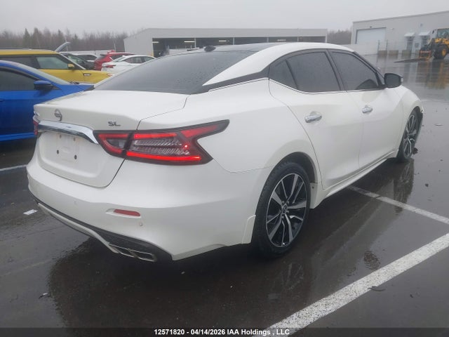 2023 Nissan Maxima Sl მანქანა იყიდება აუქციონზე, vin: 1N4AA6DV3PC509587, აუქციონის ნომერი: 12571820