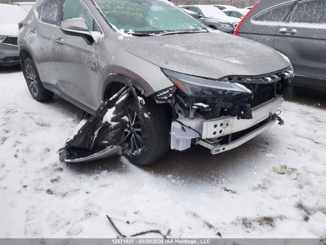 12571837 :رقم المزاد ، 2T2GKCEZ7PC015298 vin ، 2023 Lexus Nx 350h 350h مزاد بيع