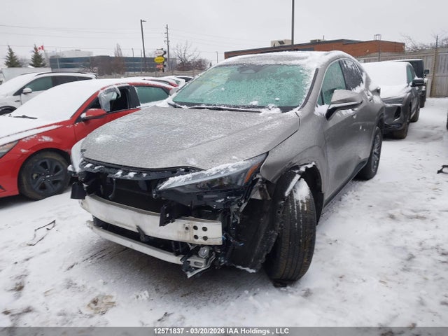 12571837 :رقم المزاد ، 2T2GKCEZ7PC015298 vin ، 2023 Lexus Nx 350h 350h مزاد بيع