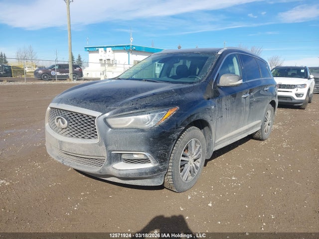 5N1DL0MM4LC514695 Infiniti Qx60 Luxe/pure/special Edition