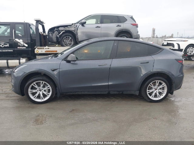 Продажа на аукционе авто 2023 Tesla Model Y Long Range, vin: 7SAYGDEE3PF775109, номер лота: 12571938