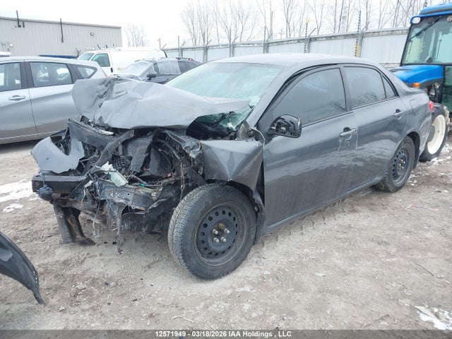 12571949 :رقم المزاد ، 2T1BU4EE6AC307396 vin ، 2010 Toyota Corolla Le مزاد بيع