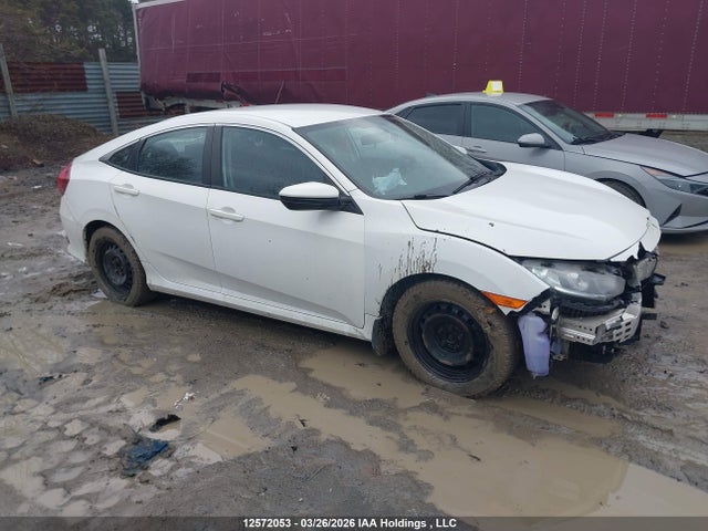 12572053 :رقم المزاد ، 2HGFC2F52HH017584 vin ، 2017 Honda Civic Lx مزاد بيع