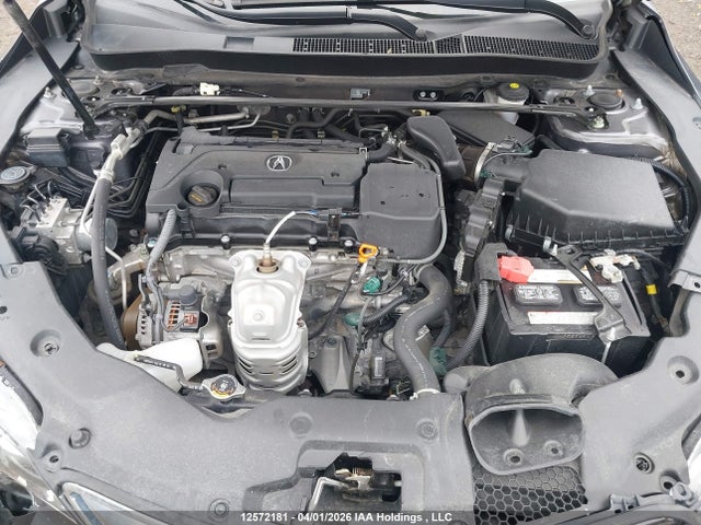 19UUB1F30HA800369 Acura TLX