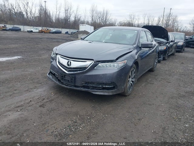 19UUB1F30HA800369 Acura TLX