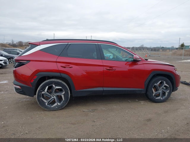Продаж на аукціоні авто 2024 Hyundai Tucson Luxury Awd, vin: KM8JCCD10RU221812, номер лоту: 12572263