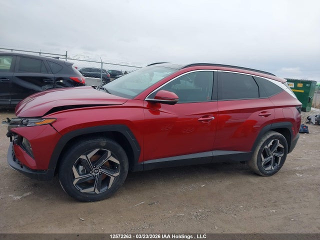Продаж на аукціоні авто 2024 Hyundai Tucson Luxury Awd, vin: KM8JCCD10RU221812, номер лоту: 12572263