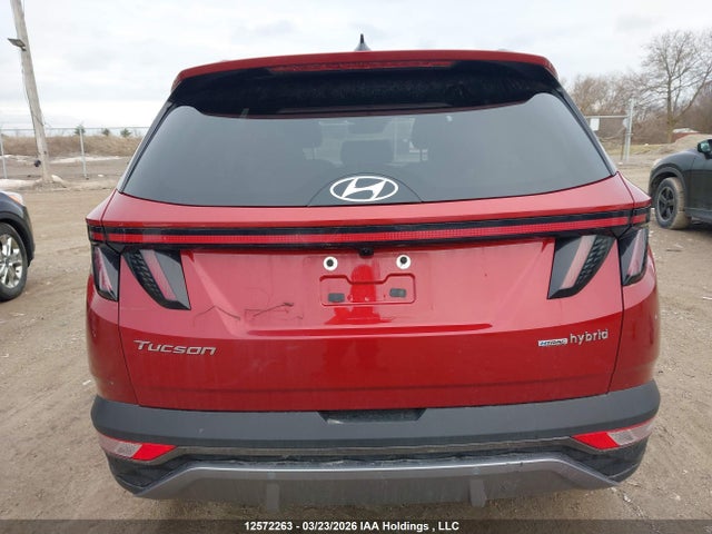 Продаж на аукціоні авто 2024 Hyundai Tucson Luxury Awd, vin: KM8JCCD10RU221812, номер лоту: 12572263