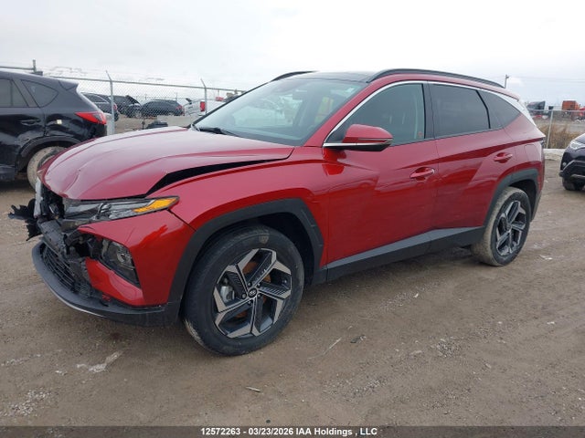 Продаж на аукціоні авто 2024 Hyundai Tucson Luxury Awd, vin: KM8JCCD10RU221812, номер лоту: 12572263