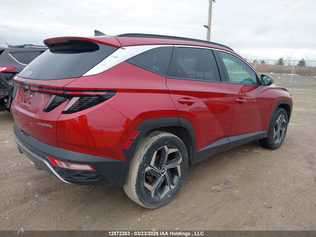 Продаж на аукціоні авто 2024 Hyundai Tucson Luxury Awd, vin: KM8JCCD10RU221812, номер лоту: 12572263