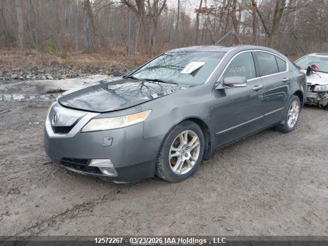 12572267 :رقم المزاد ، 19UUA96529A800149 vin ، 2009 Acura Tl مزاد بيع