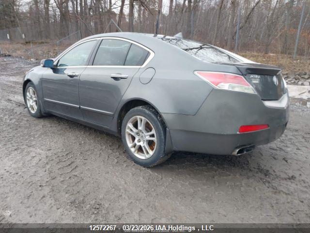 12572267 :رقم المزاد ، 19UUA96529A800149 vin ، 2009 Acura Tl مزاد بيع