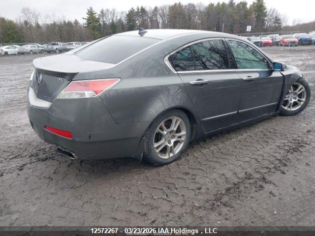 12572267 :رقم المزاد ، 19UUA96529A800149 vin ، 2009 Acura Tl مزاد بيع