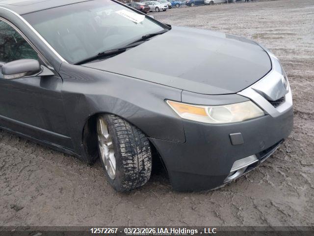 12572267 :رقم المزاد ، 19UUA96529A800149 vin ، 2009 Acura Tl مزاد بيع