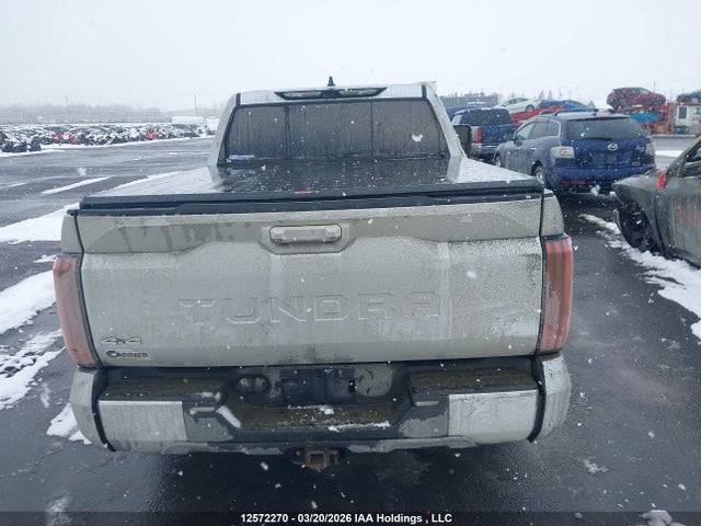 5TFMC5DB6NX004148 Toyota Tundra Crewmax Platinum/crewmax 1794