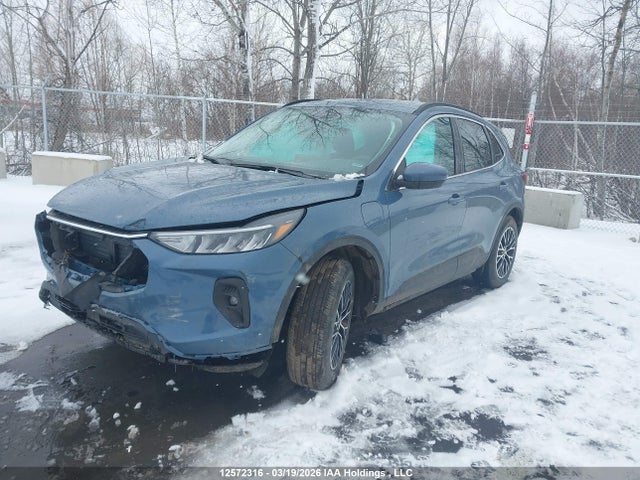 Продаж на аукціоні авто 2025 Ford Escape, vin: 1FMCU0E18SUB25337, номер лоту: 12572316