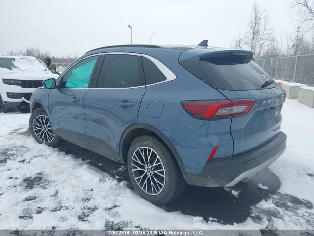 Продаж на аукціоні авто 2025 Ford Escape, vin: 1FMCU0E18SUB25337, номер лоту: 12572316
